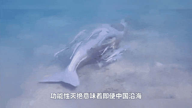 好科学家从火锅底料里发现了解药 ｜ 博览日报PG麻将胡了2模拟器你爱炫的砂糖橘差点完蛋还(图4)