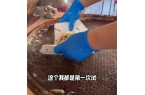 表吃路边摊30块吃4个菜直呼赚翻！PG麻